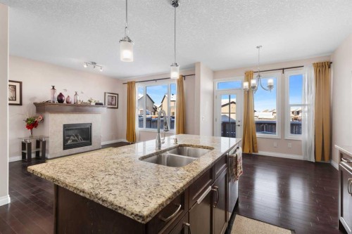 529 Saddlelake Drive Ne, Calgary, AB - Indoor Photo Showing Kitchen With Fireplace With Double Sink