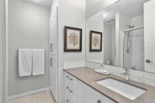 607-11 Mahogany Circle Se, Calgary, AB - Indoor Photo Showing Bathroom