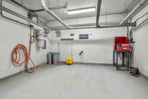 607-11 Mahogany Circle Se, Calgary, AB - Indoor Photo Showing Garage