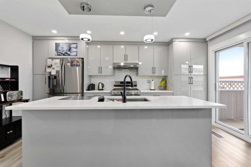 313 Falwood Way Ne, Calgary, AB - Indoor Photo Showing Kitchen With Upgraded Kitchen
