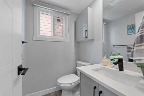313 Falwood Way Ne, Calgary, AB - Indoor Photo Showing Bathroom