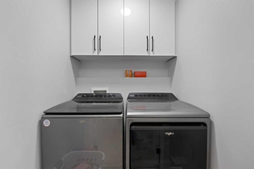 313 Falwood Way Ne, Calgary, AB - Indoor Photo Showing Laundry Room