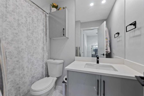 313 Falwood Way Ne, Calgary, AB - Indoor Photo Showing Bathroom