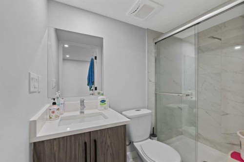 313 Falwood Way Ne, Calgary, AB - Indoor Photo Showing Bathroom
