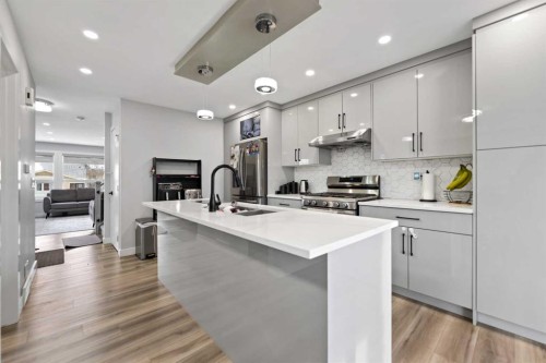 313 Falwood Way Ne, Calgary, AB - Indoor Photo Showing Kitchen With Double Sink With Upgraded Kitchen