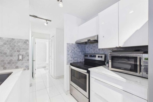 313-1735 11 Avenue Sw, Calgary, AB - Indoor Photo Showing Kitchen