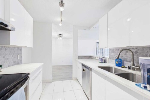 313-1735 11 Avenue Sw, Calgary, AB - Indoor Photo Showing Kitchen With Double Sink With Upgraded Kitchen