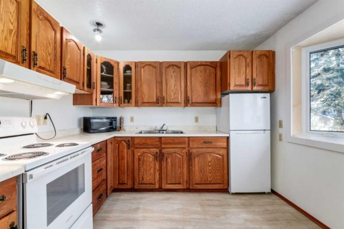 410 60 Avenue Ne, Calgary, AB - Indoor Photo Showing Kitchen With Double Sink