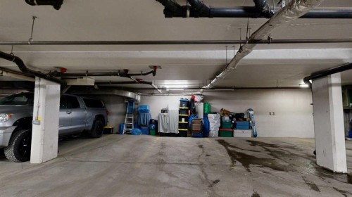 107-8 Prestwick Pond Terrace Se, Calgary, AB - Indoor Photo Showing Garage