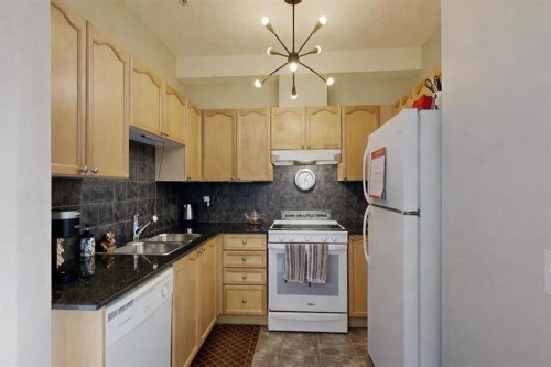 107-8 Prestwick Pond Terrace Se, Calgary, AB - Indoor Photo Showing Kitchen With Double Sink