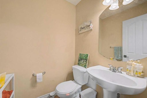 284 Hawkmere View, Chestermere, AB - Indoor Photo Showing Bathroom