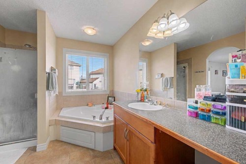 284 Hawkmere View, Chestermere, AB - Indoor Photo Showing Bathroom