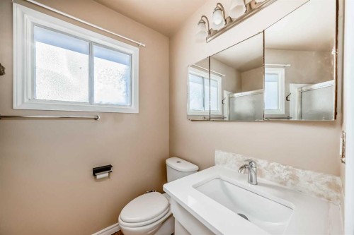 172 Pinehill Road Ne, Calgary, AB - Indoor Photo Showing Bathroom