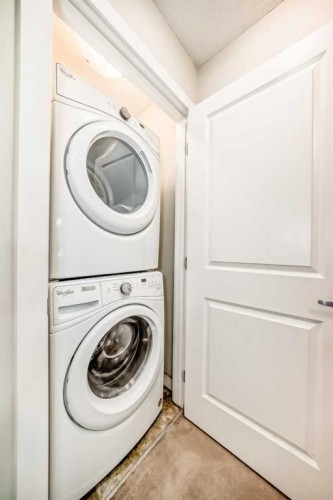 58-138 Seton Passage Se, Calgary, AB - Indoor Photo Showing Laundry Room