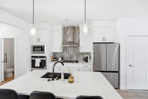 29 Herron Mews Ne, Calgary, AB - Indoor Photo Showing Kitchen With Stainless Steel Kitchen With Upgraded Kitchen