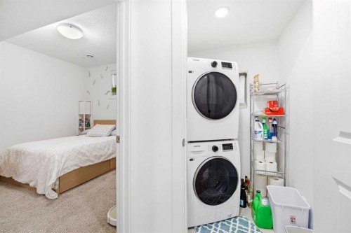 29 Herron Mews Ne, Calgary, AB - Indoor Photo Showing Laundry Room