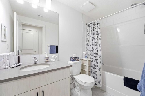 29 Herron Mews Ne, Calgary, AB - Indoor Photo Showing Bathroom