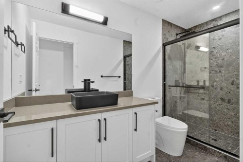 267 Chelsea Heath, Chestermere, AB - Indoor Photo Showing Bathroom