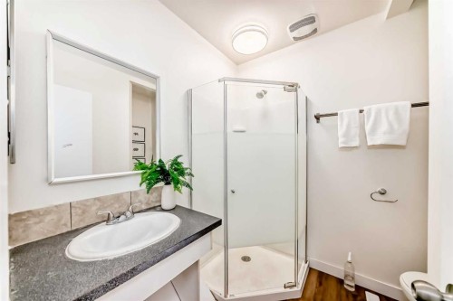 5640 Travis Street Ne, Calgary, AB - Indoor Photo Showing Bathroom