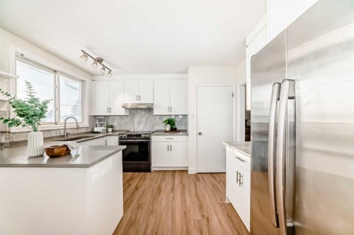 5640 Travis Street Ne, Calgary, AB - Indoor Photo Showing Kitchen With Upgraded Kitchen