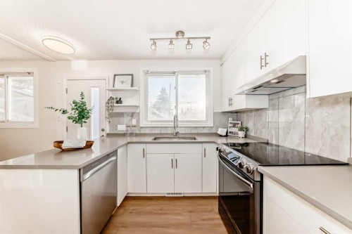 5640 Travis Street Ne, Calgary, AB - Indoor Photo Showing Kitchen With Upgraded Kitchen