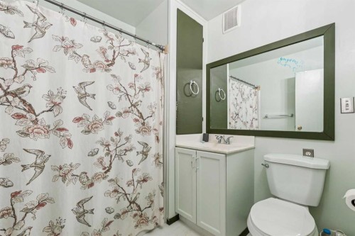 619 Merrill Drive Ne, Calgary, AB - Indoor Photo Showing Bathroom