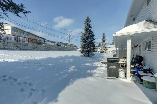619 Merrill Drive Ne, Calgary, AB - Outdoor