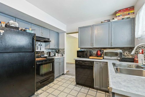 619 Merrill Drive Ne, Calgary, AB - Indoor Photo Showing Kitchen With Double Sink