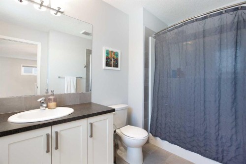 250 Hillcrest Heights Sw, Airdrie, AB - Indoor Photo Showing Bathroom