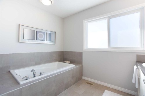 250 Hillcrest Heights Sw, Airdrie, AB - Indoor Photo Showing Bathroom