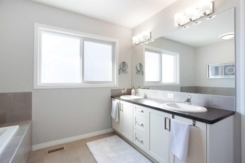 250 Hillcrest Heights Sw, Airdrie, AB - Indoor Photo Showing Bathroom