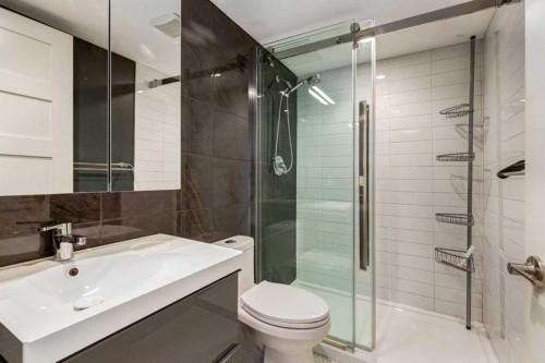 206-1513 26 Avenue Sw, Calgary, AB - Indoor Photo Showing Bathroom