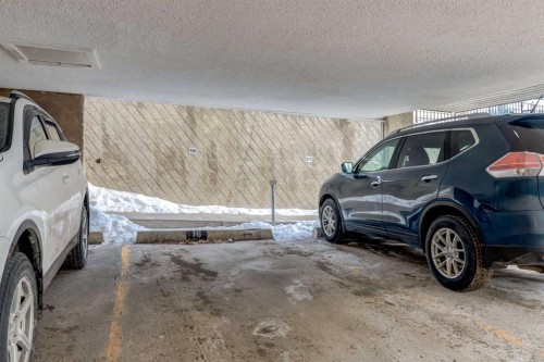 206-1513 26 Avenue Sw, Calgary, AB - Indoor Photo Showing Garage