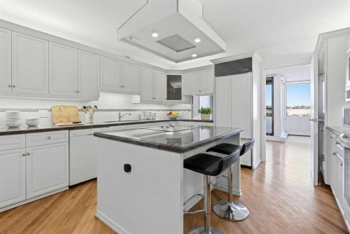 1001A-500 Eau Claire Avenue Sw, Calgary, AB - Indoor Photo Showing Kitchen With Upgraded Kitchen