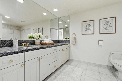 1001A-500 Eau Claire Avenue Sw, Calgary, AB - Indoor Photo Showing Bathroom