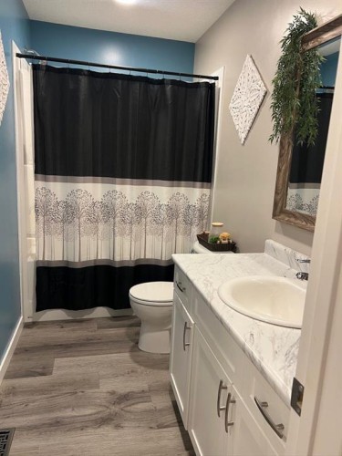 4819 17 Avenue, Edson, AB - Indoor Photo Showing Bathroom