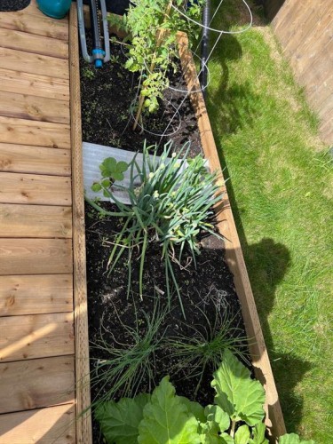 4819 17 Avenue, Edson, AB - Outdoor