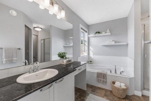 625 Midtown Place, Airdrie, AB - Indoor Photo Showing Bathroom