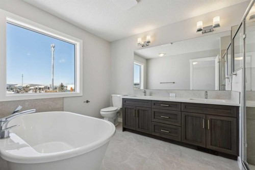 12 Willow Park Point, Cochrane, AB - Indoor Photo Showing Bathroom