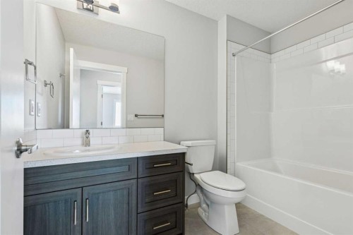 12 Willow Park Point, Cochrane, AB - Indoor Photo Showing Bathroom