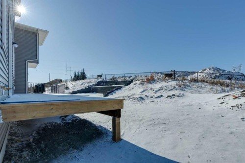 12 Willow Park Point, Cochrane, AB - Outdoor