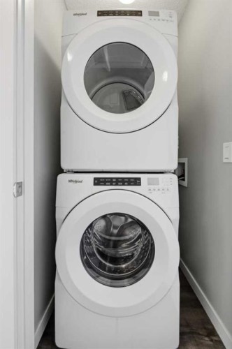 125-301 Redstone Boulevard Ne, Calgary, AB - Indoor Photo Showing Laundry Room