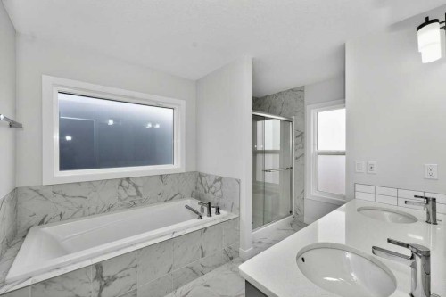 268 Cornerbrook Road Ne, Calgary, AB - Indoor Photo Showing Bathroom