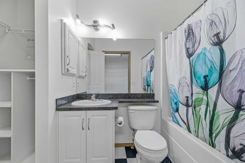 145 Covebrook Close, Calgary, AB - Indoor Photo Showing Bathroom