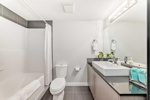 2103-11 Mahogany Row Se, Calgary, AB - Indoor Photo Showing Bathroom