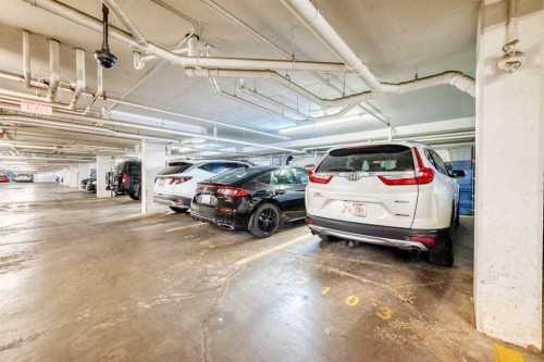2103-11 Mahogany Row Se, Calgary, AB - Indoor Photo Showing Garage