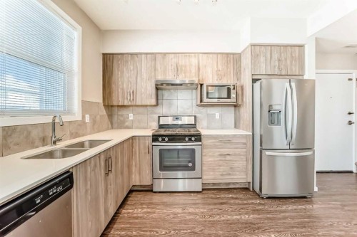 204-135 Redstone Walk Ne, Calgary, AB - Indoor Photo Showing Kitchen With Double Sink