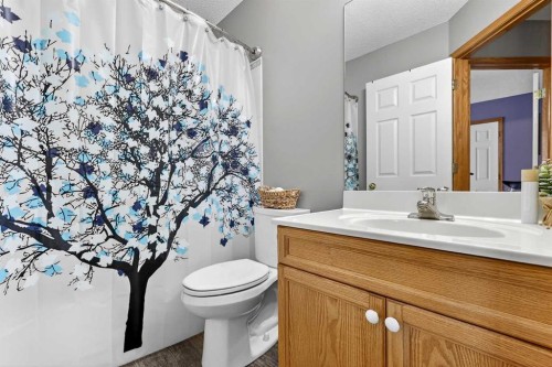 1153 Prestwick Circle Se, Calgary, AB - Indoor Photo Showing Bathroom