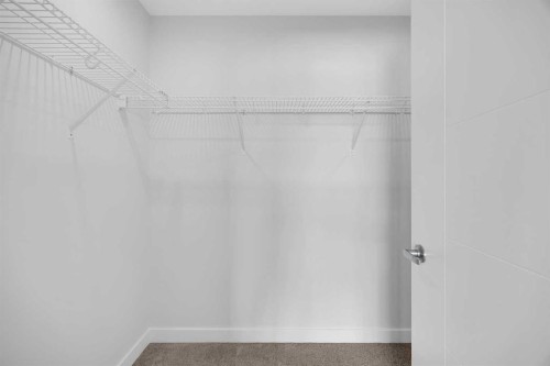 131 Ricardo Ranch Avenue Se, Calgary, AB - Indoor With Storage