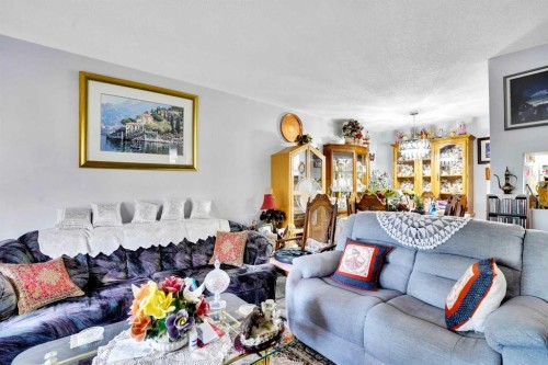 203-21 Dover Point Se, Calgary, AB - Indoor Photo Showing Living Room